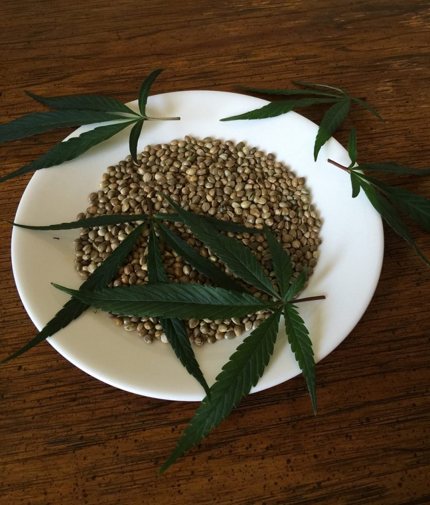 Cannabis