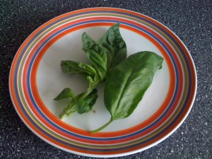 Wenn gesundes Essen krank macht
