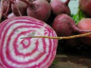 Chioggia