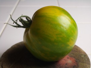 Green Zebra Tomate
