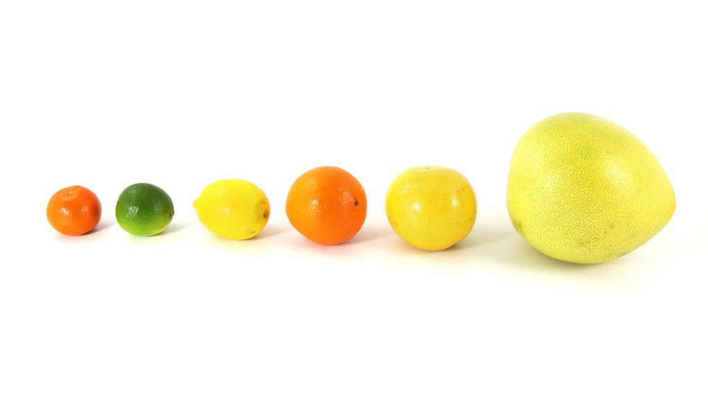 Wir zeigen dir, welche Obstschalen essbar sind