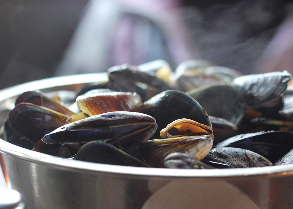 Muscheln Schalentiere