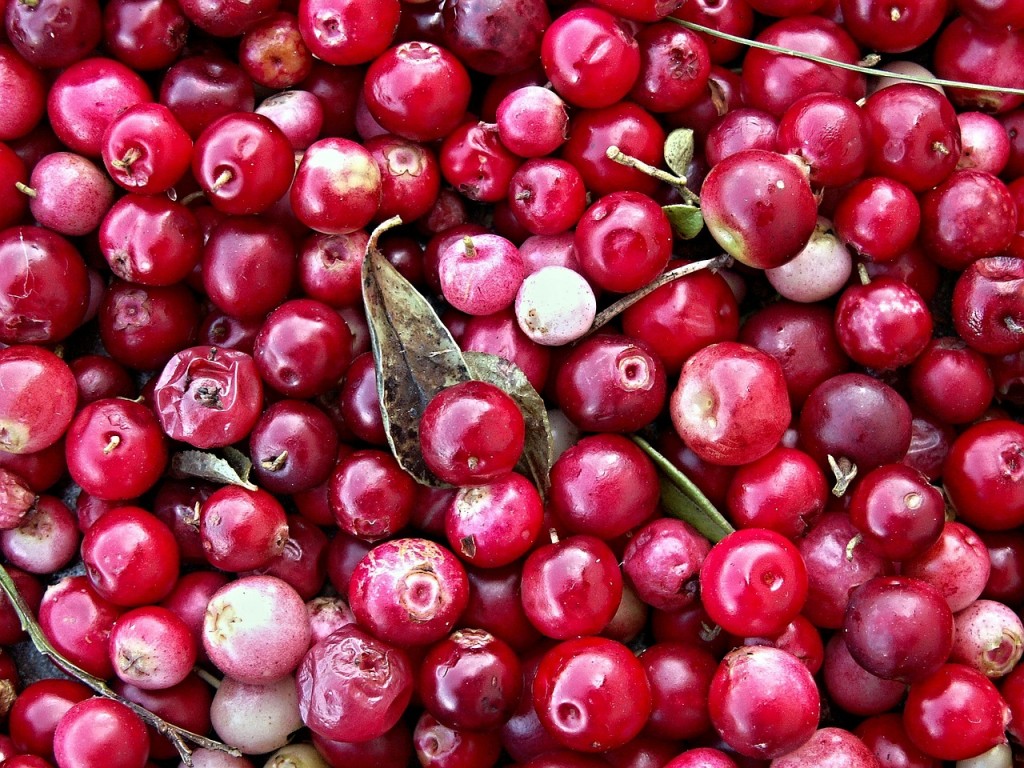 cranberries-112155_1280