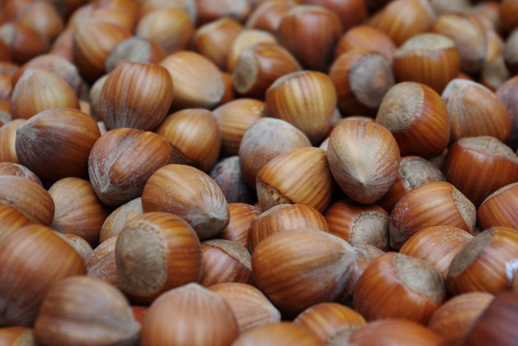 hazelnuts-1339881_1280
